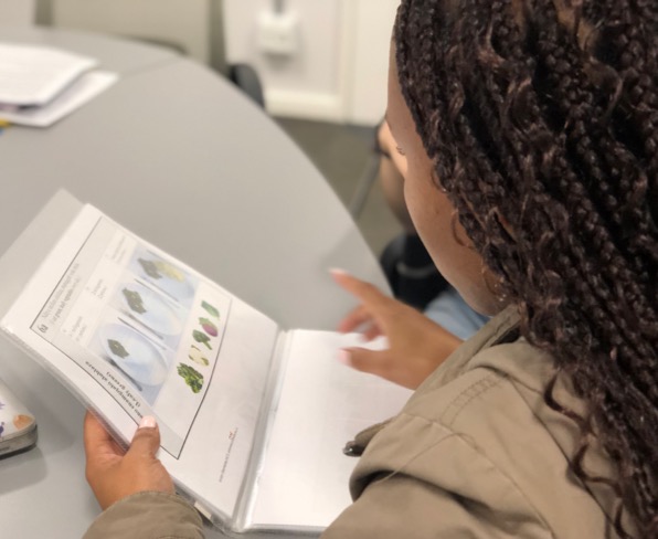 Community health programme addressing HIV and depression